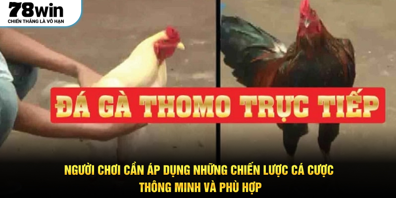 Người chơi cần áp dụng những chiến lược cá cược thông minh và phù hợp